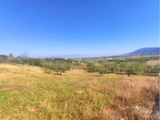 Vistas