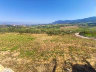Vistas