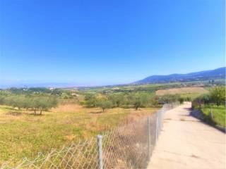 Vistas