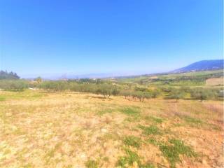 Vistas
