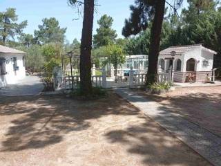 Jardín