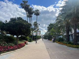 Vistas