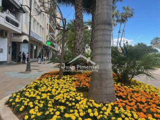 Jardín