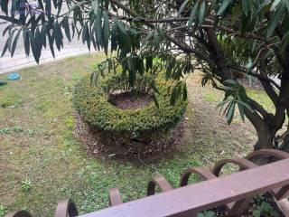 Jardín