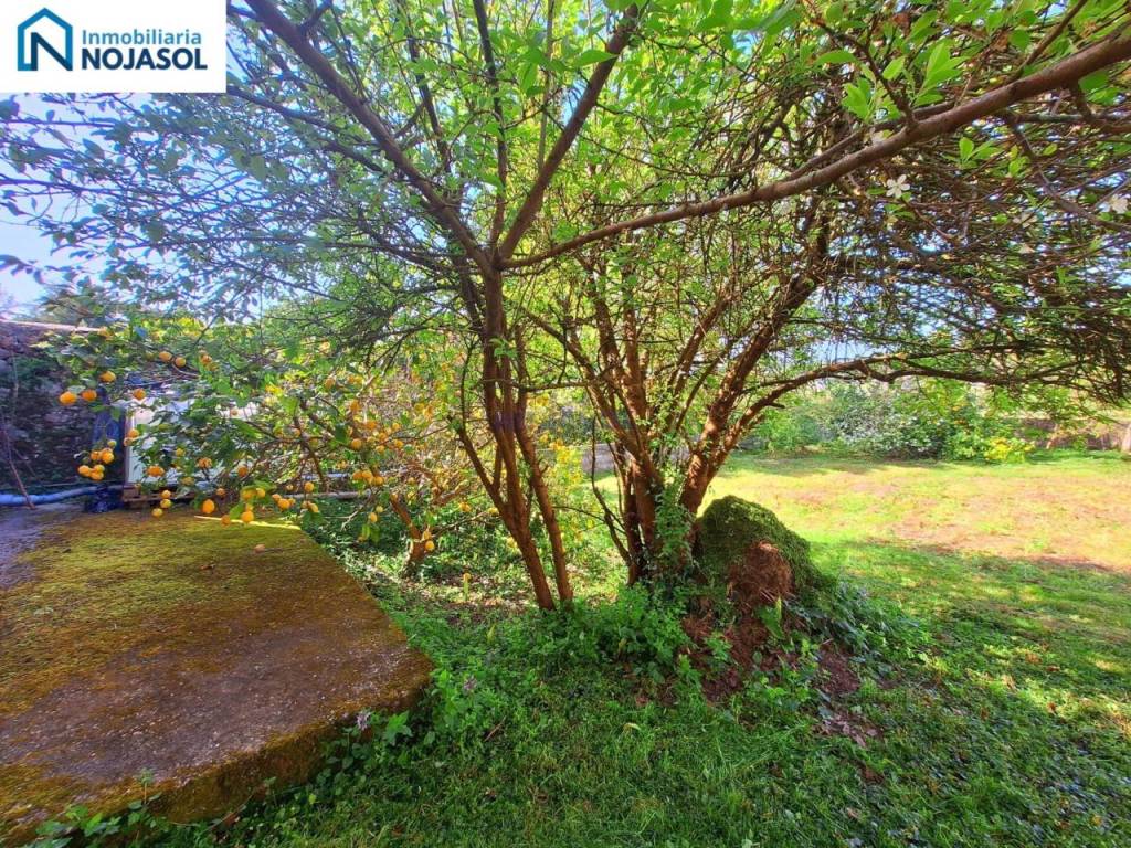 Jardín