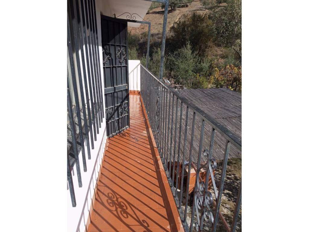 Terraza