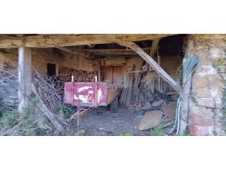 No Informado