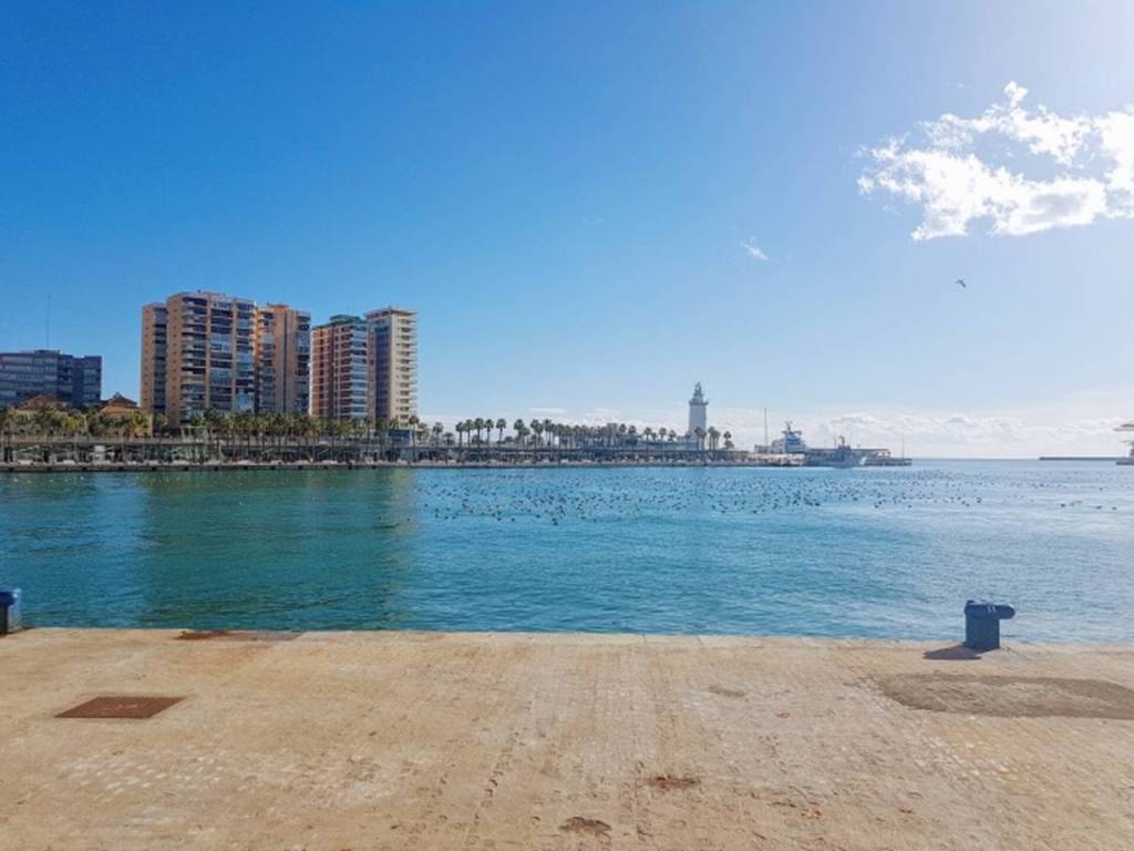Vistas