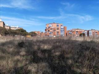Vistas