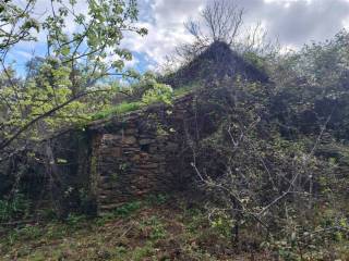 Jardín