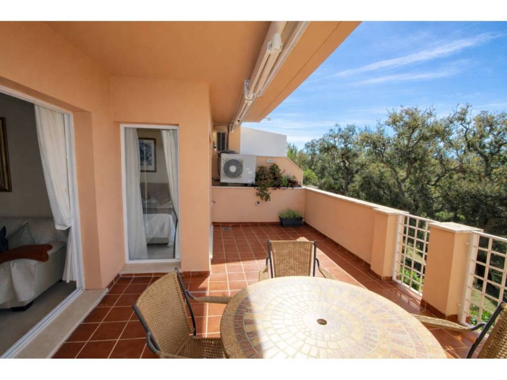 Terraza