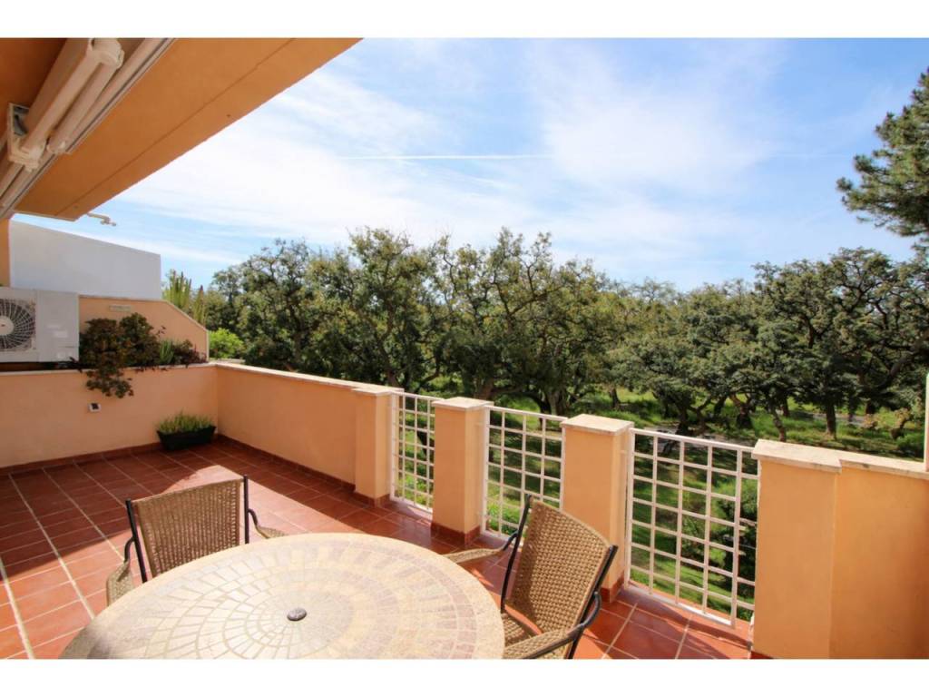 Terraza