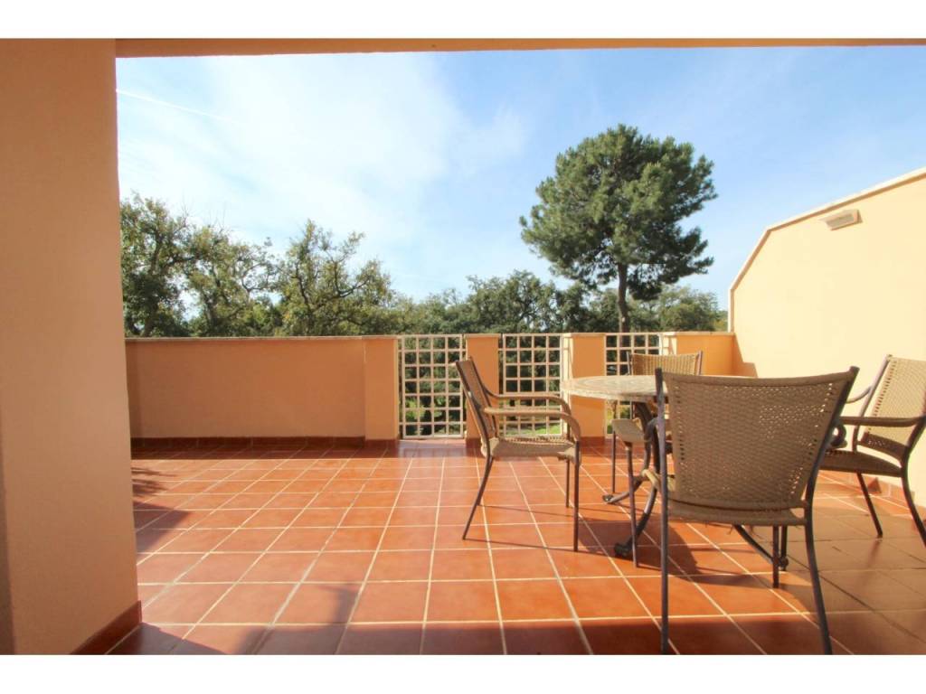 Terraza