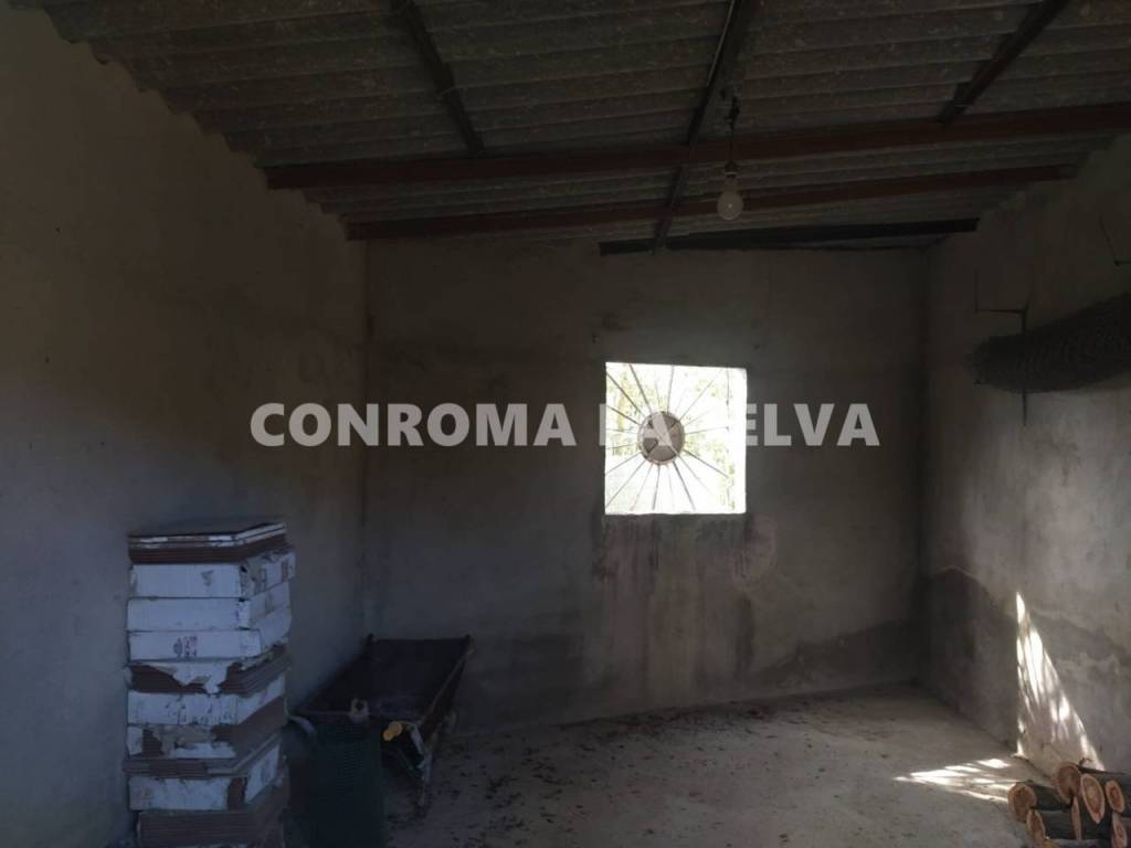 No Informado