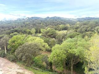 Vistas