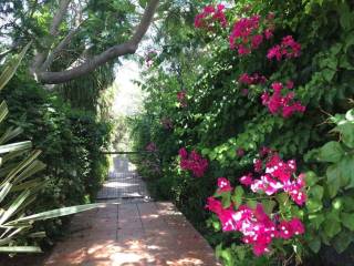 Jardín