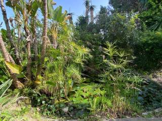 Jardín