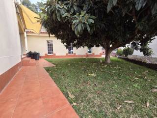 Jardín