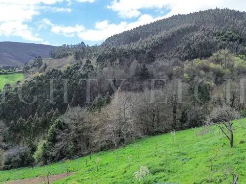 Vistas