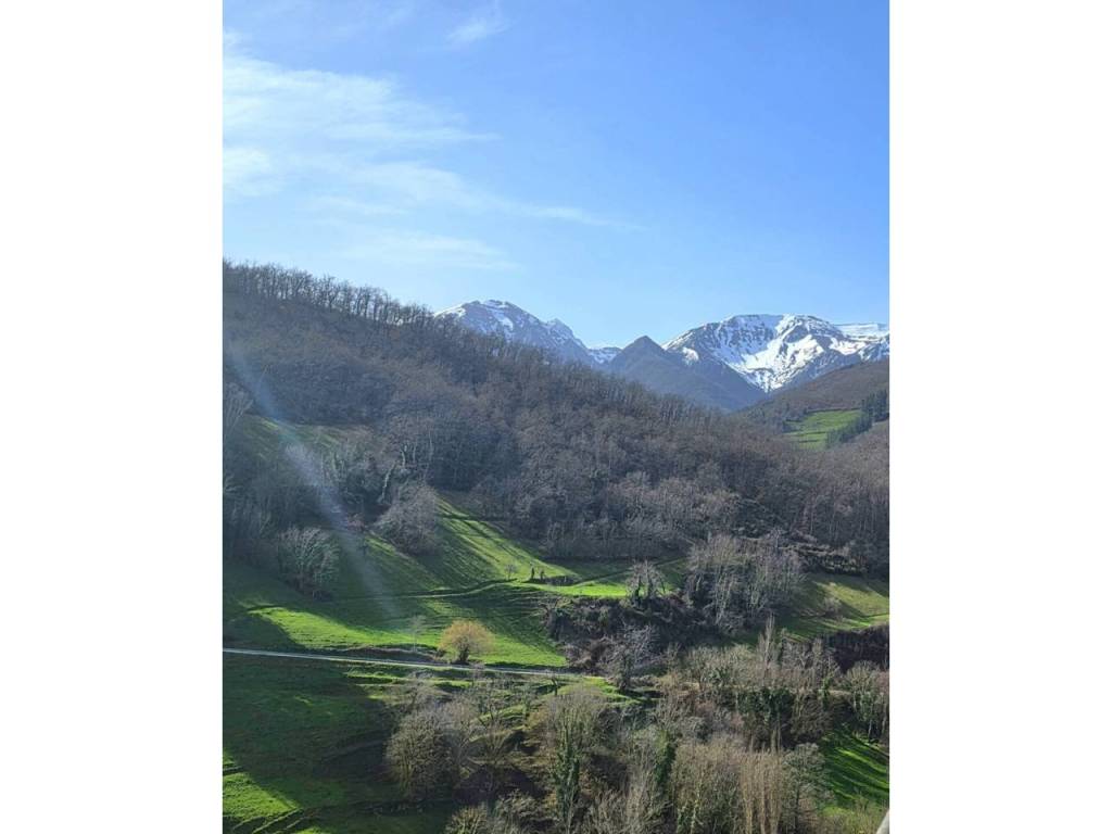 Vistas
