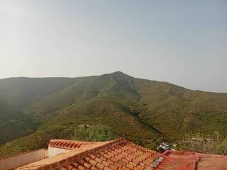 Vistas