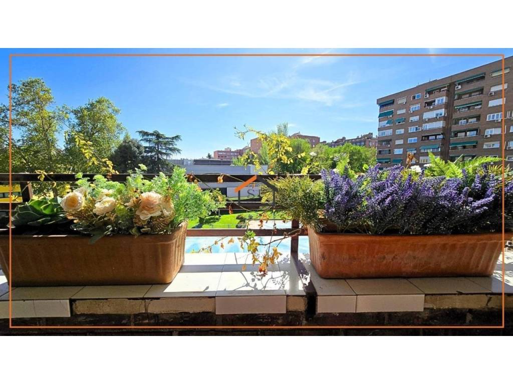 Terraza