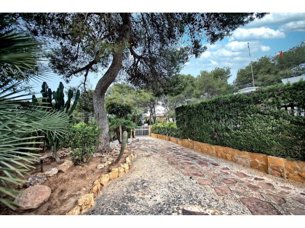Jardín