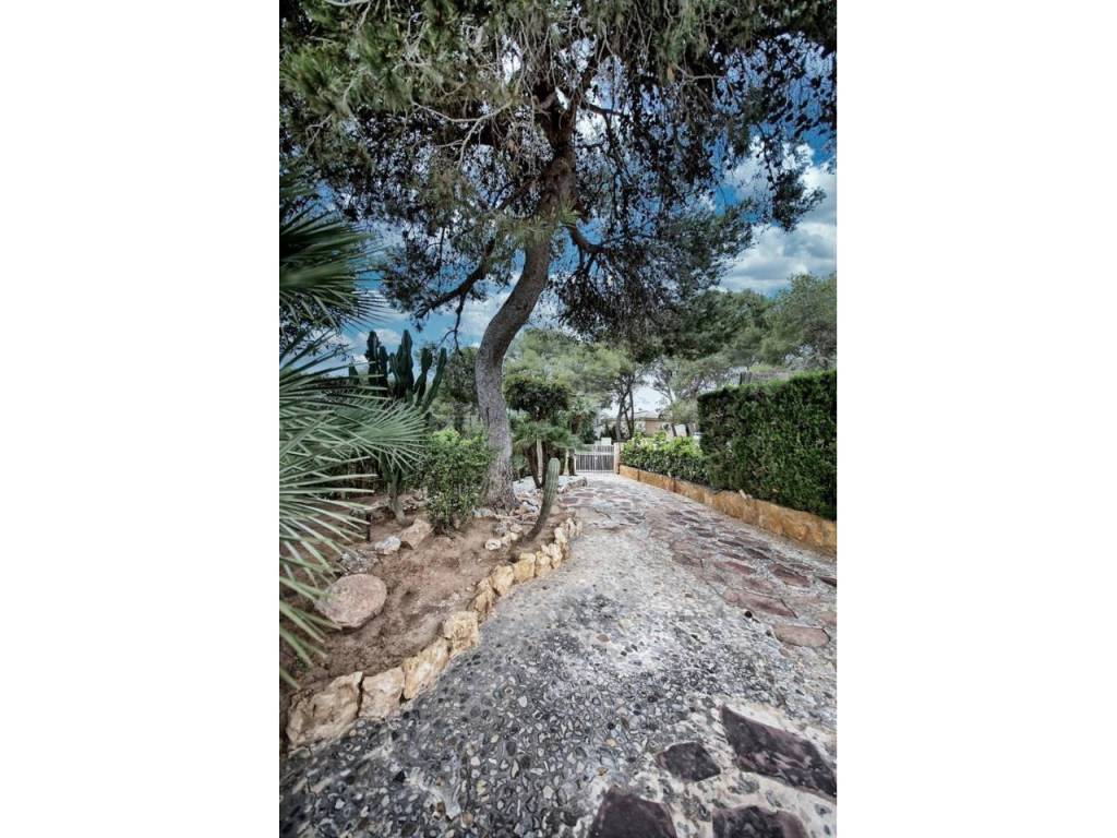Jardín