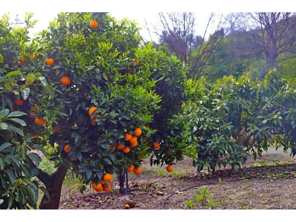 Alrededores