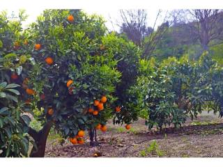 Alrededores