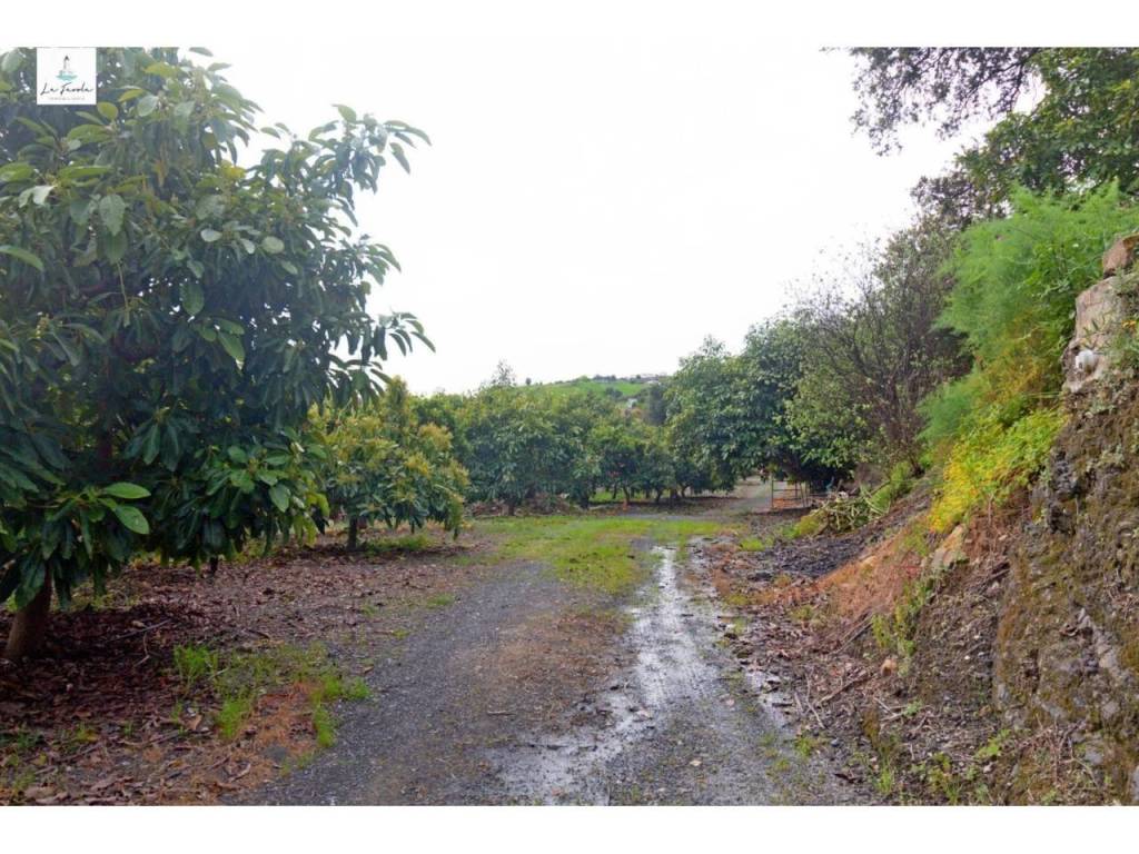 Alrededores