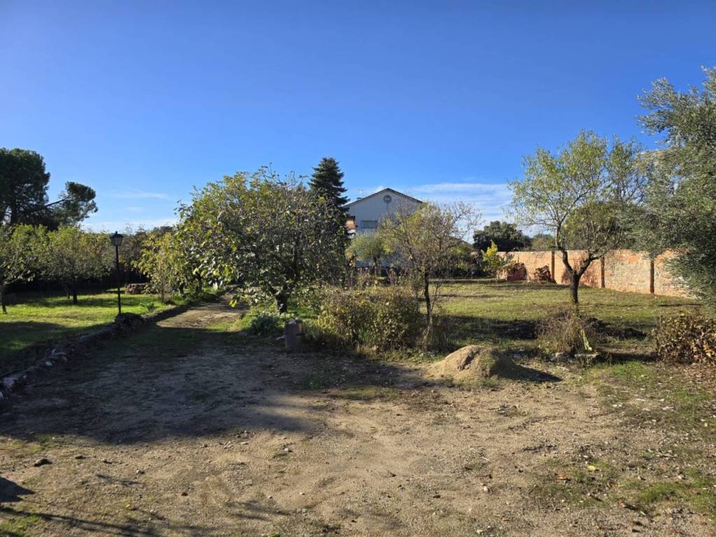 Jardín