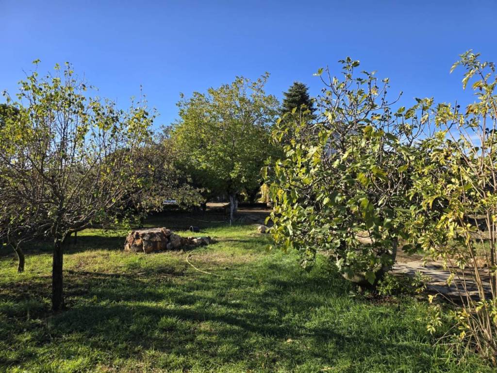 Jardín