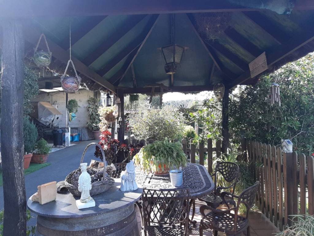 Terraza