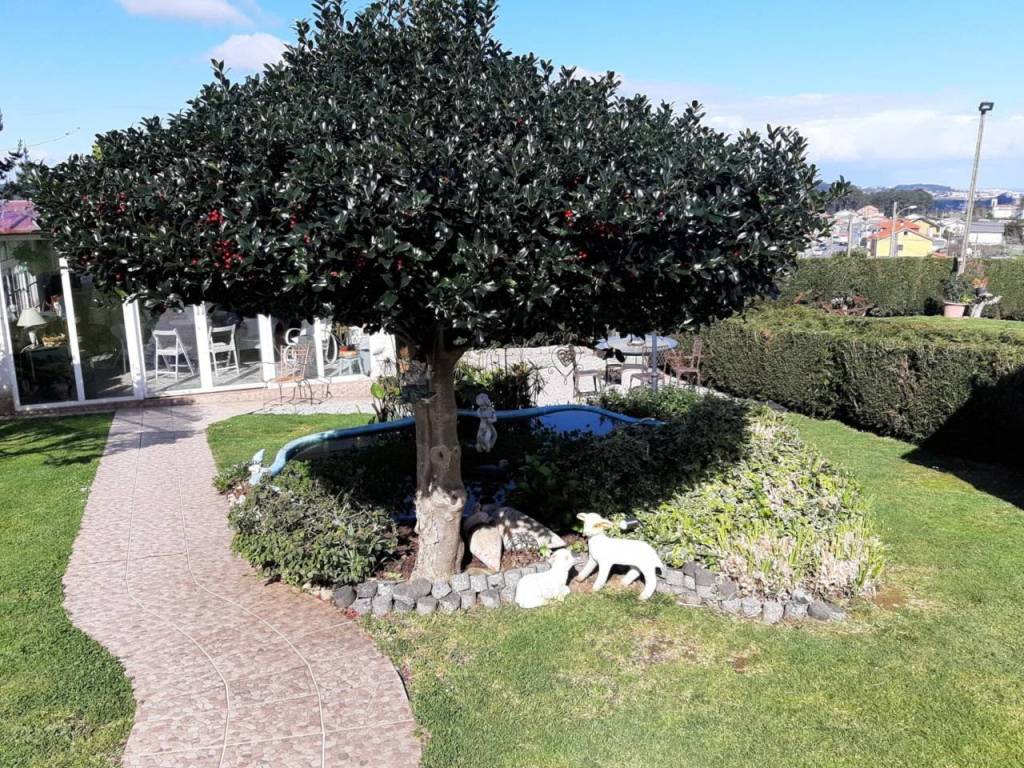 Jardín