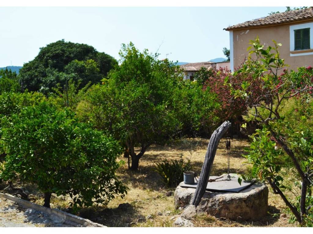 Jardín