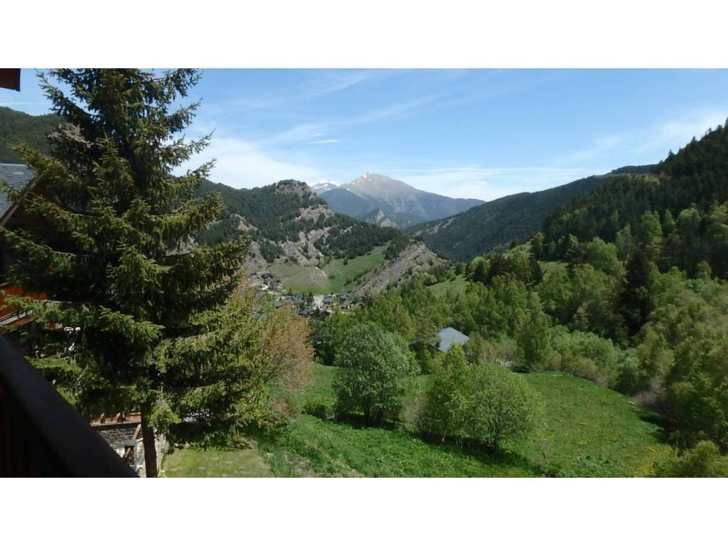 Vistas