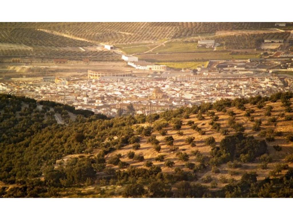 Vistas
