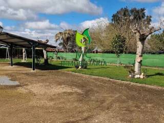 Jardín