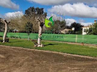 Jardín