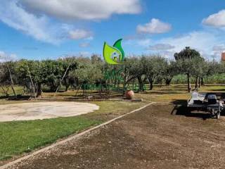 Jardín