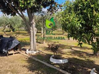 Jardín