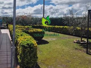 Jardín