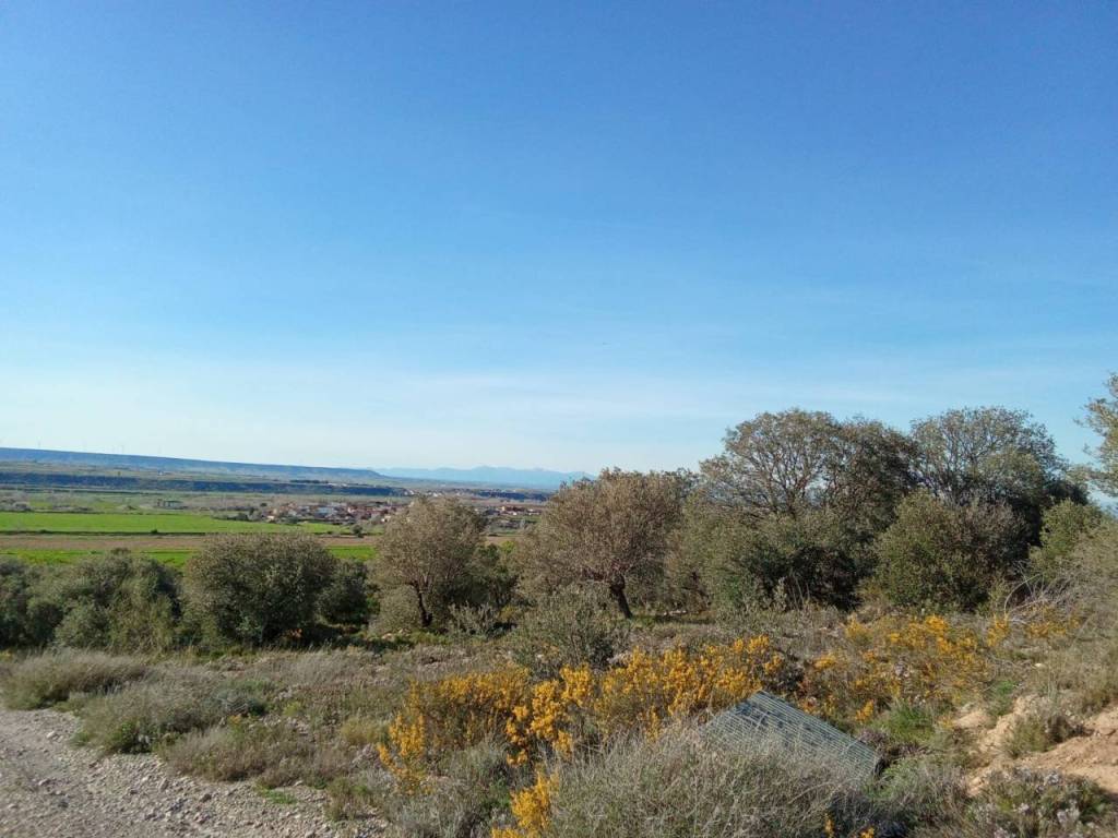 Vistas