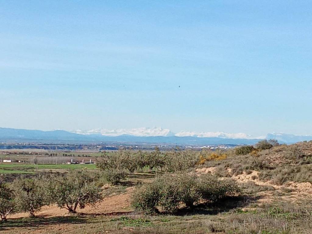 Vistas