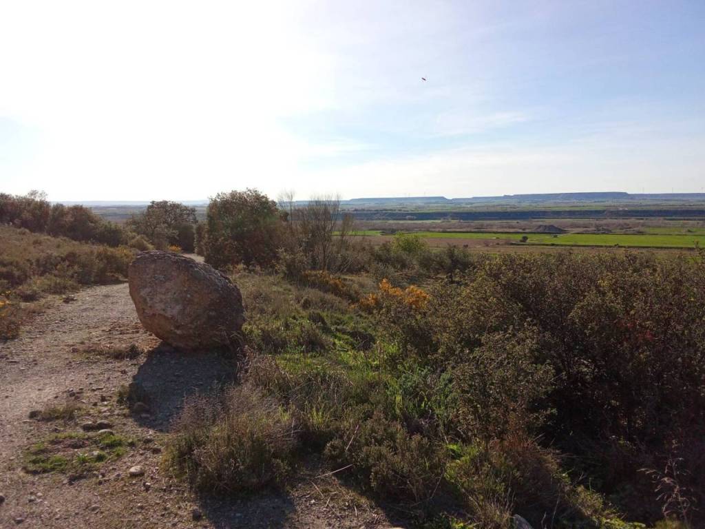 Vistas