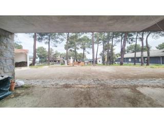 Jardín