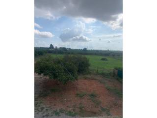Vistas