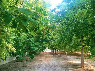Jardín