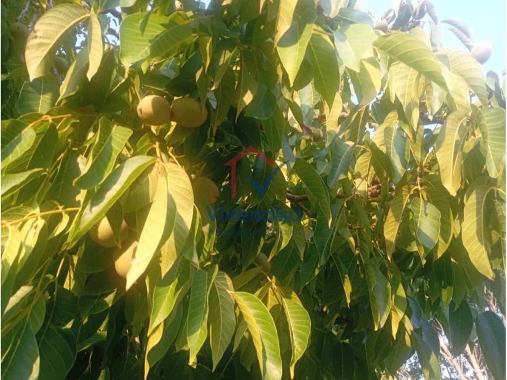 Jardín